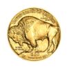 Perspectiva frontal de la cruz de la moneda de oro American Buffalo de 1 oz de 2024, con la imagen del animal de lado