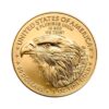 Perspectiva frontal de la cara de la moneda de oro American Eagle de 1 oz de 2024, con el rostro del águila