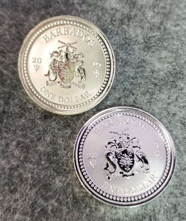 Moneda Plata Flying Fish 2019_anvers/GoldenArt Moneda Plata Flying Fish 2019_anvers/GoldenArt