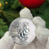 Moneda plata Polar Lights X-Mas 2022_ reverso/GoldenArt