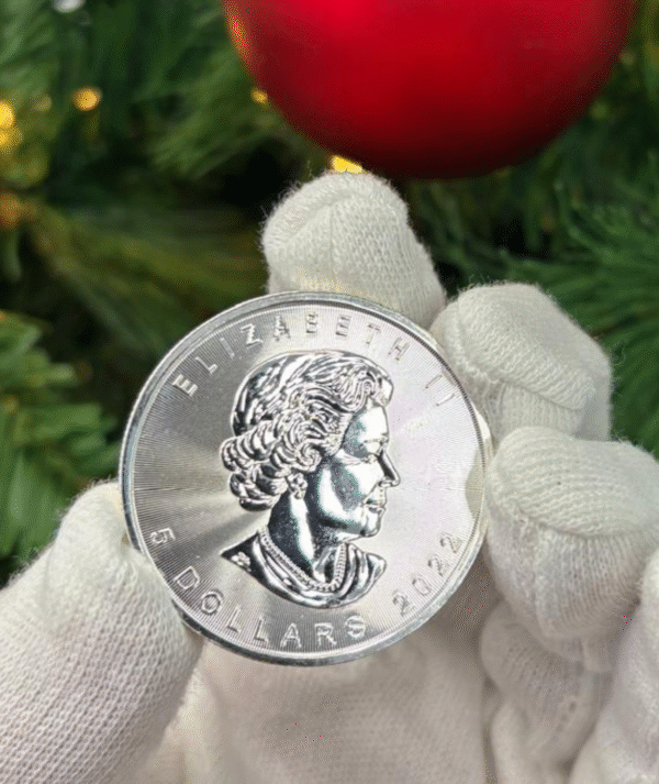 Moneda plata Polar Lights X-Mas 2022_ reverso/GoldenArt