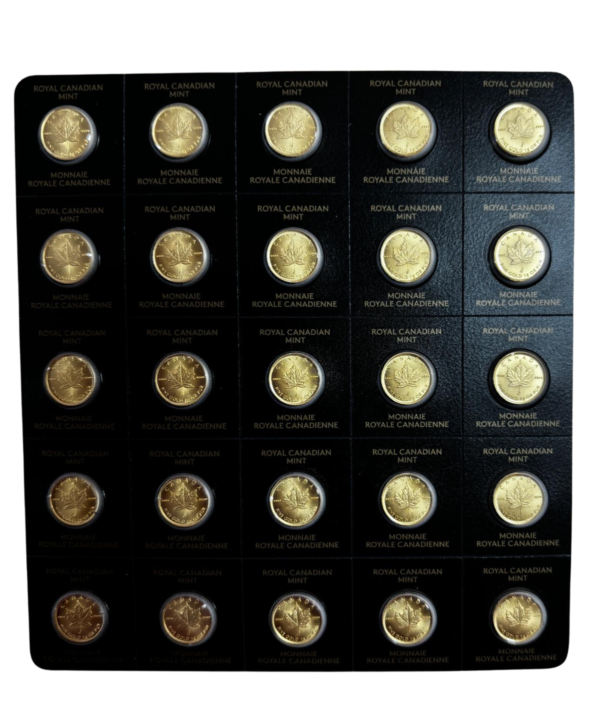 Moneda Oro Maple Leaf 25x1 Gr 2022_ anverso/goldenart Moneda Oro Maple Leaf 25x1 Gr 2022_ anverso/ goldenart