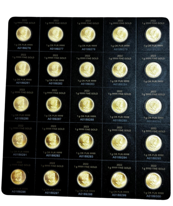 Moneda Oro Maple Leaf 25x1 Gr 2022_ reverso /goldenart Moneda Oro Maple Leaf 25x1 Gr 2022_ reverso /goldenart