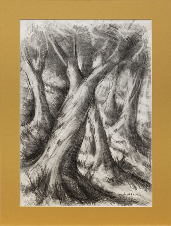 LAMINA-177 Lámina Bosque - Juan Crossa - GOLDENART