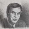 Lamina 27