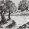 Lamina 5