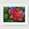 ROSA Lámina Rosa - Crossa - GOLDENART