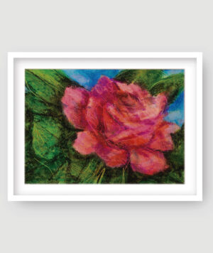 Lámina Rosa - Crossa - GOLDENART