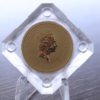 Moneda Oro Canguro Nugget 1998 _ reverso / GoldenArt Moneda Oro Canguro Nugget 1998 _ reverso / GoldenArt
