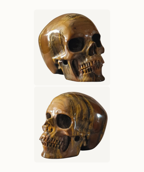 Pareja de Calaveras talladas en Jaspe Rojo_ goldenart Pareja de Calaveras talladas en Jaspe Rojo_ goldenart