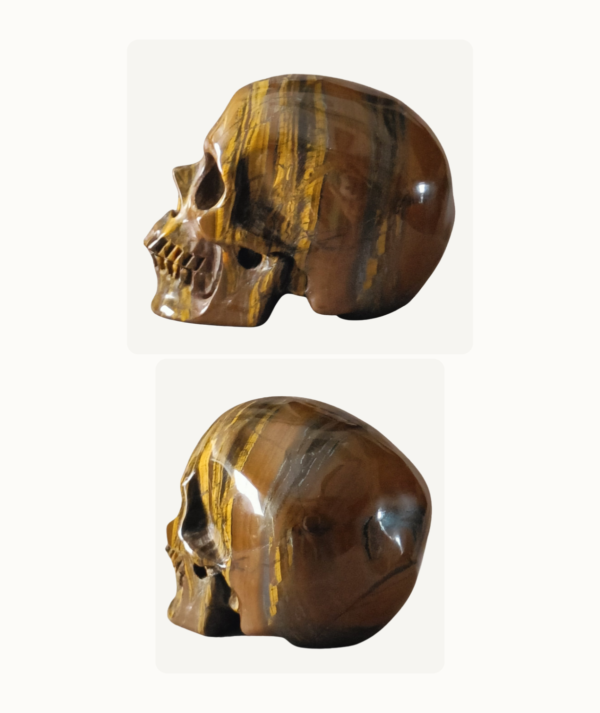 Pareja de Calaveras talladas en Ojo de Tigre _ GoldenArt Pareja de Calaveras talladas en Ojo de Tigre _ GoldenArt