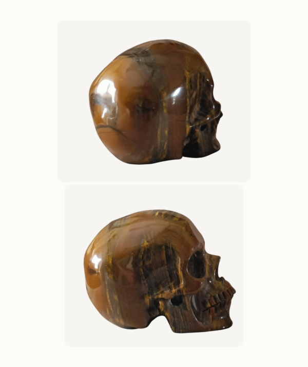 Pareja de Calaveras talladas en Ojo de Tigre lado_ GoldenArt Pareja de Calaveras talladas en Ojo de Tigre lado_ GoldenArt