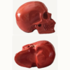 Pareja de Calaveras talladas en Ojo de Tigre y Jaspe Rojo_ Pareja de Calaveras talladas en Ojo de Tigre y Jaspe Rojo