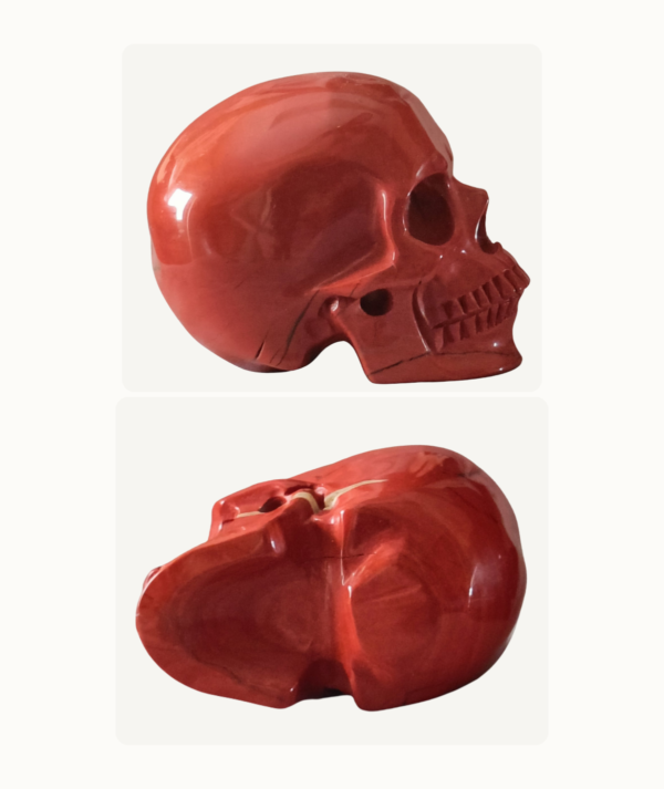 Pareja de Calaveras talladas en Ojo de Tigre y Jaspe Rojo_ Pareja de Calaveras talladas en Ojo de Tigre y Jaspe Rojo