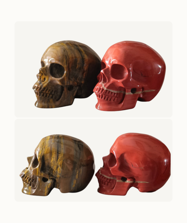 Pareja de Calaveras talladas en Ojo de Tigre y Jaspe Rojo_ ambas lado_goldenart Pareja de Calaveras talladas en Ojo de Tigre y Jaspe Rojo_ ambas lado_goldenart