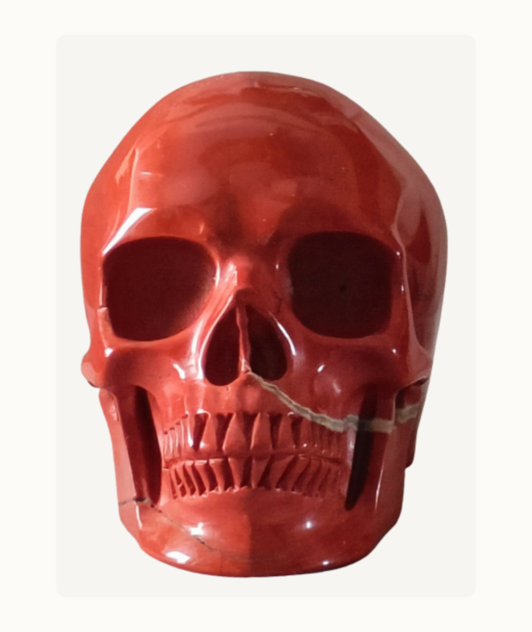 Pareja de Calaveras talladas en Ojo de Tigre y Jaspe Rojo_ roja frente_ goldenart Pareja de Calaveras talladas en Ojo de Tigre y Jaspe Rojo_ roja frente_ goldenart