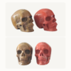 Pareja de Calaveras talladas en Ojo de Tigre y Jaspe Rojo_Portada/GoldenArt Pareja de Calaveras talladas en Ojo de Tigre y Jaspe Rojo_Portada/GoldenArt