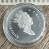 Moneda Plata Manzana Mclntosh 1996_ reverso/Goldenart Moneda Plata Manzana Mclntosh 1996